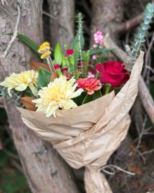 Autumn Market Wrap