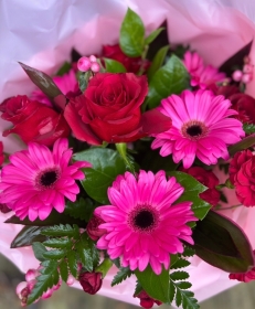 Pretty in Pink